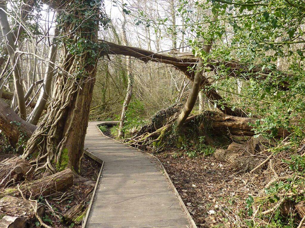 Heritage Lottery Fund and Natural England funded access improvements